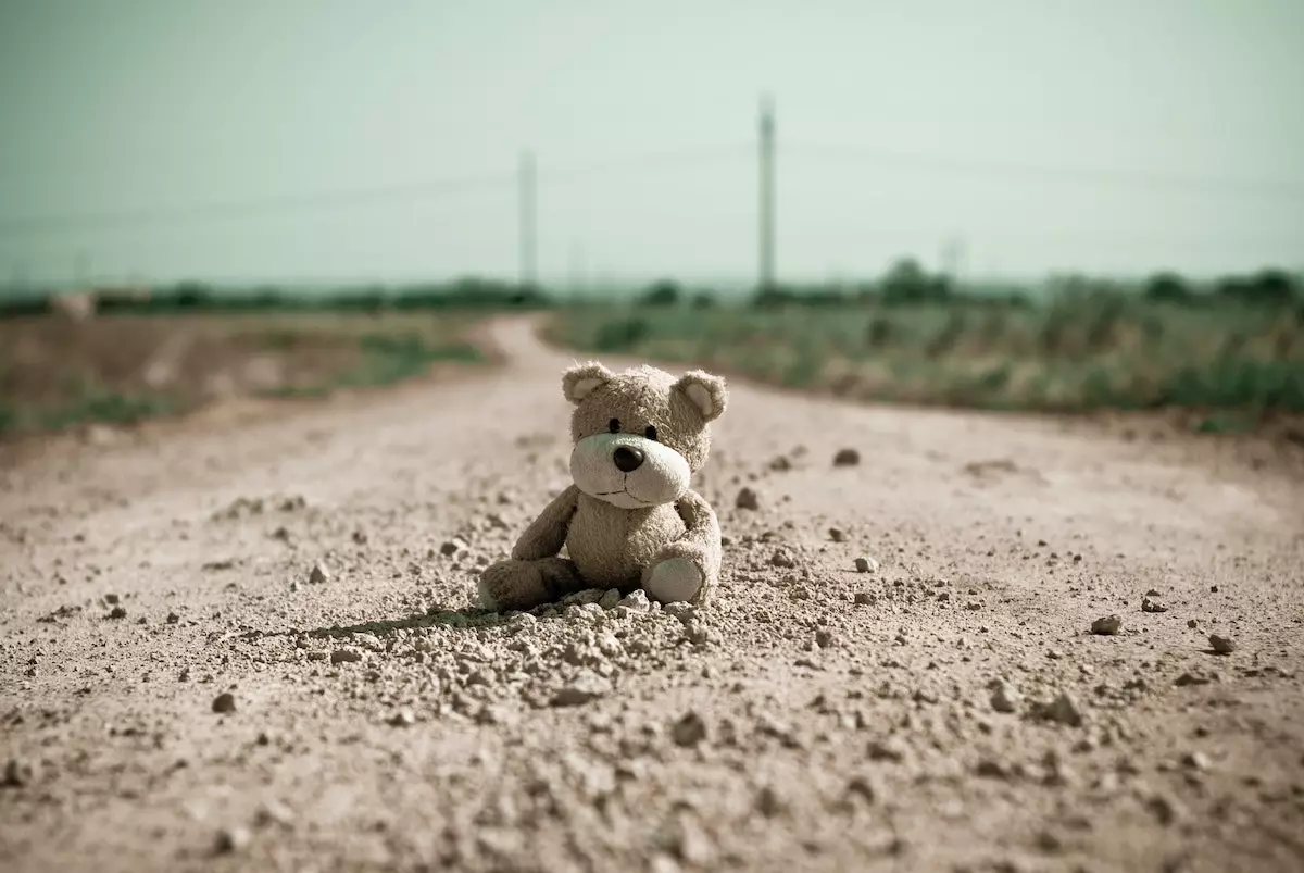 pic of lonely teddy bear on the gravel road