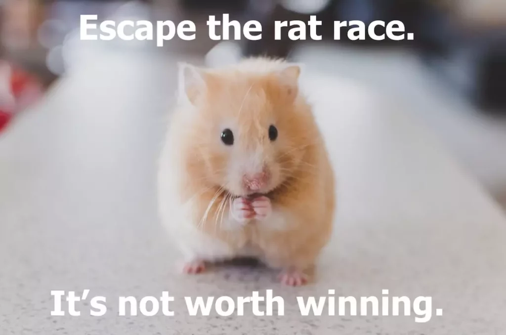 meme: hamster - escape the rat race. it's not worth winning.