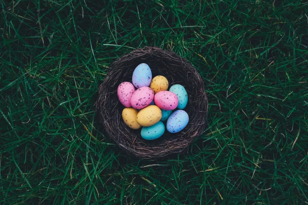Image of colourful eggs in a nest