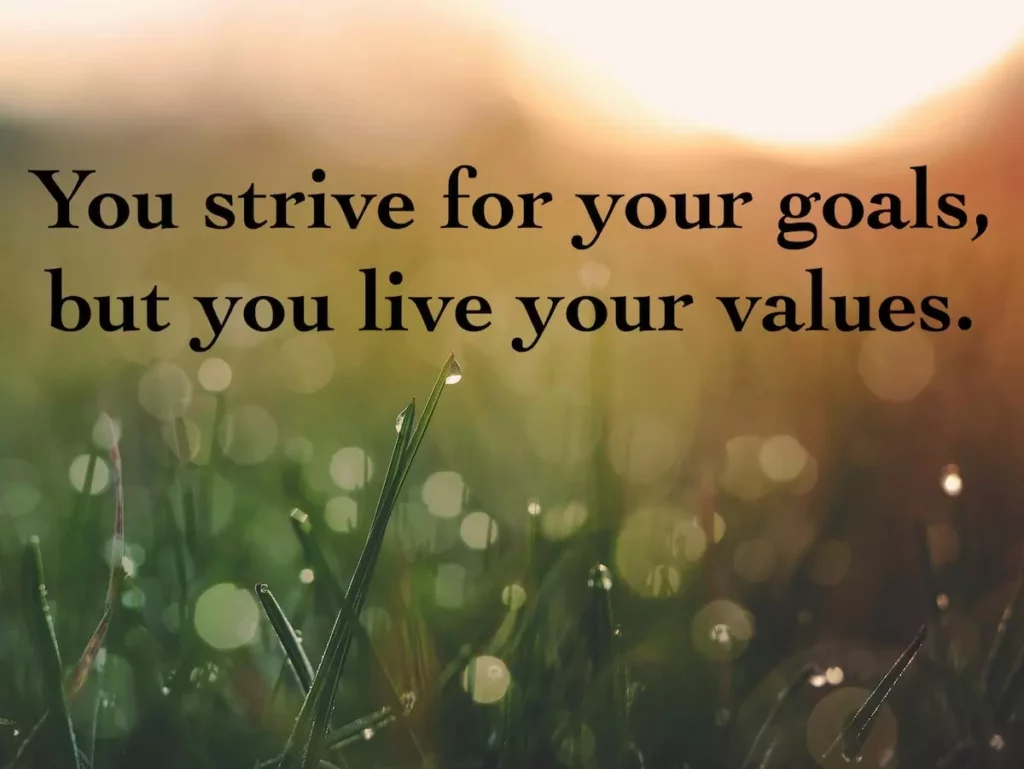 quote: you strive for your goals, but you live your values.