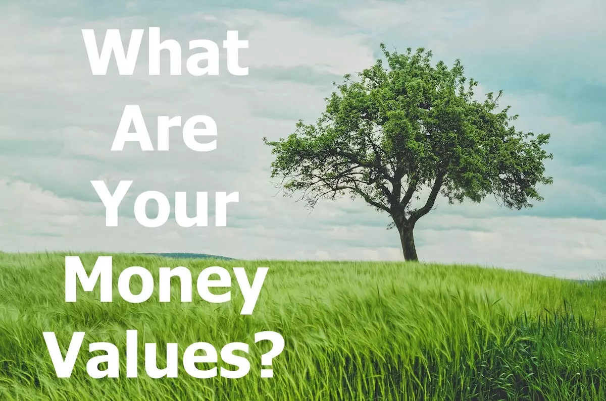 Tree in open field with quote 'what are your money values?'