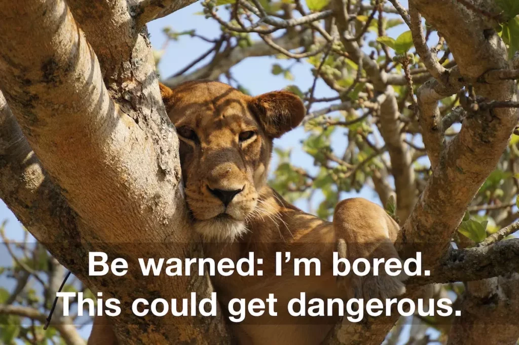 Meme: Be warned: I'm bored. This could get dangerous. Lion in the tree.