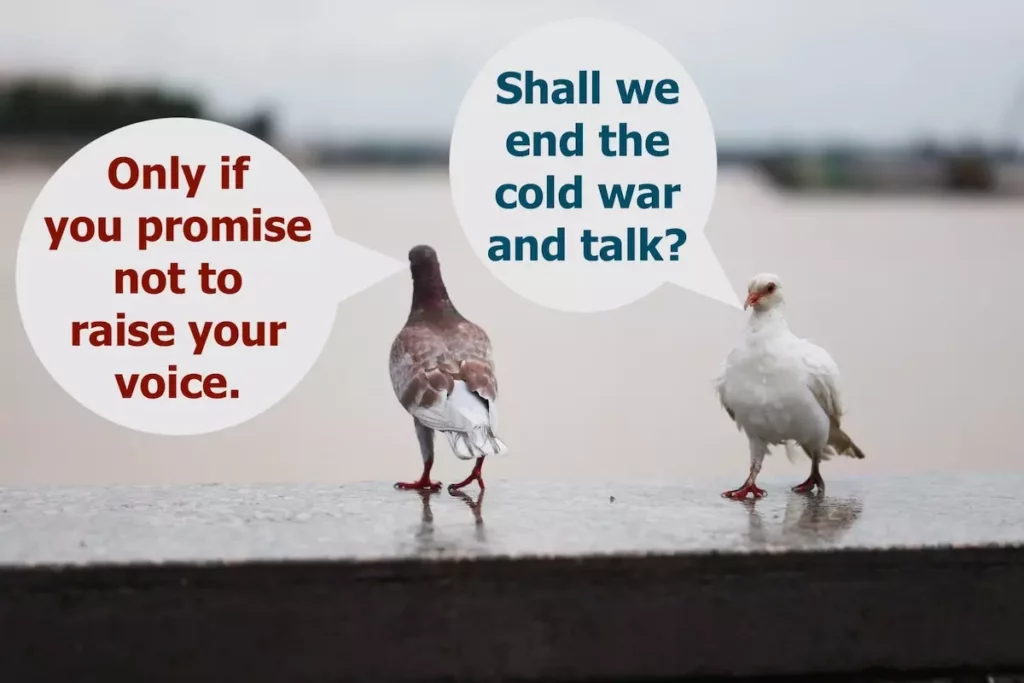 Image of two birds talking. Speech bubble: Shall we end the Cold War and talk? Only if you promise not to raise your voice.