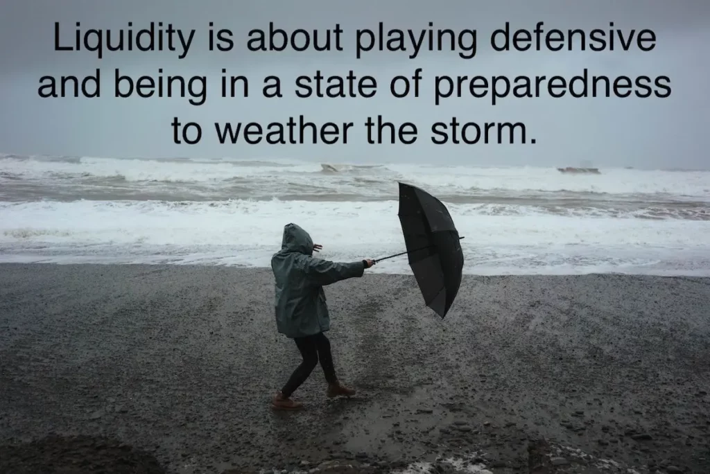 Image of stormy weather showing persons' umbrella almost getting blown away with quote: Liquidity is about playing defensive and being in a state of preparedness to weather the storm.
