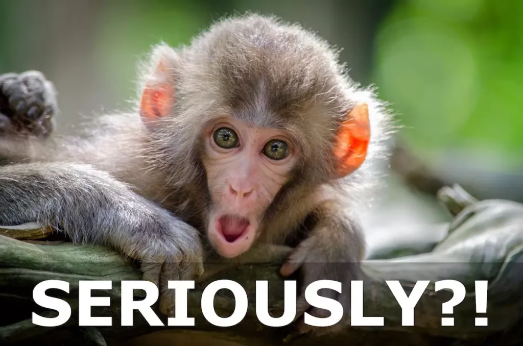 Image of a monkey face looking shocked with text overlay: seriously?!
