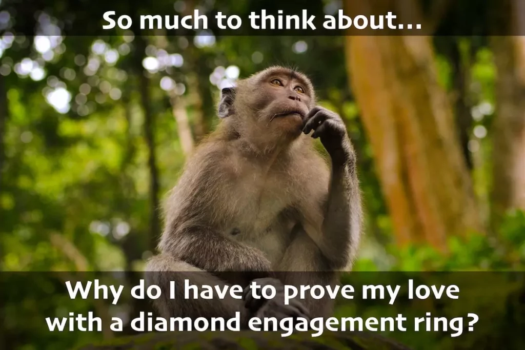 Image of monkey looking as if it is in deep thought with text overlay: Why do I have to prove my love with a diamond engagement ring?
