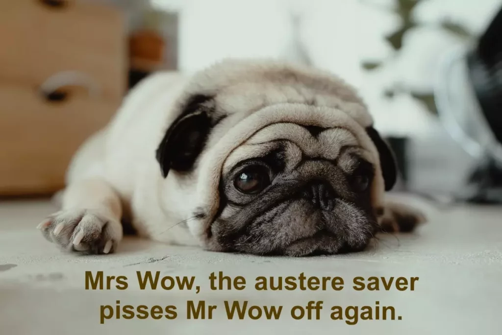 Image of a sad looking dog with the text overlay: mrs wow, the austere saver pisses mr wow off again.