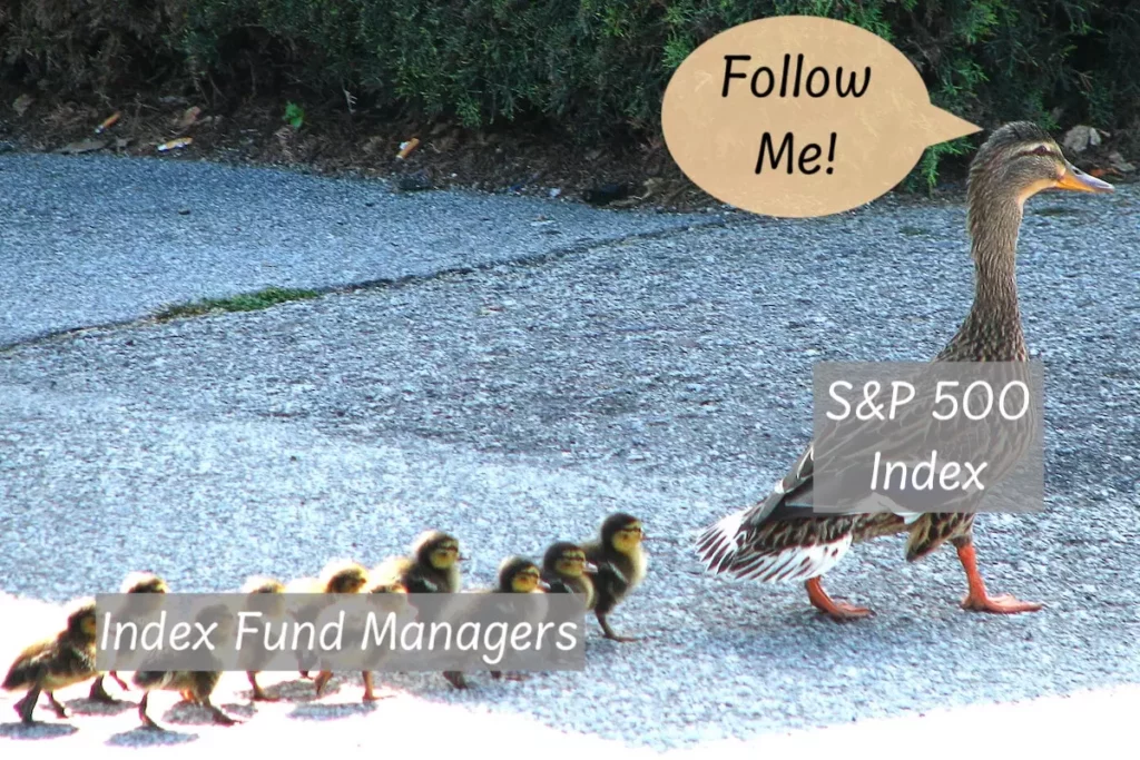 Image of ducklings following mummy duck who says 'follow me!'. Text overlay on the ducklings reads 'Index Fund Managers. Text overlay on mummy duck reads 'S&P500 index'