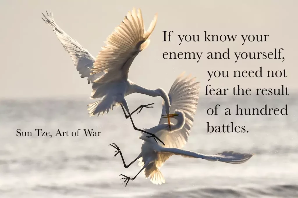 Image of 2 cranes fighting with the text overlay: If you know your enemy and yourself, you need not fear the result of a hundred battles - Sun Tze, Art of War.