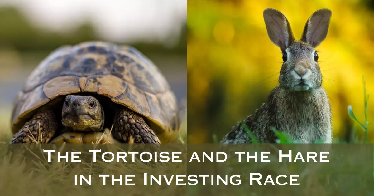 Image of a tortoise next to a hare with the text overlay: The tortoise and the hare in the investing race.