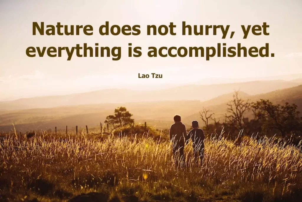 Image of two toddlers in a field with the text overlay: Nature does not hurry, yet everything is accomplished - Lao Tzu.