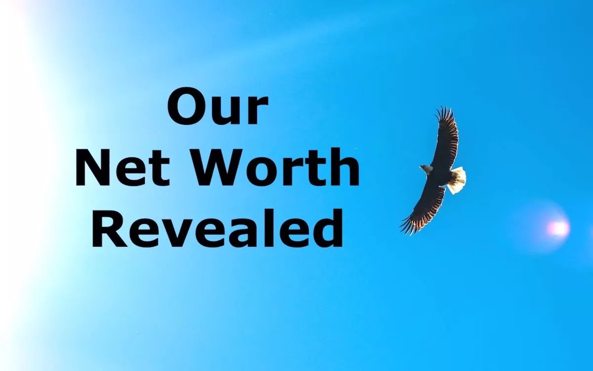 Image of an eagle soaring in the clear blue sky with the text overlay: Our net worth revealed.