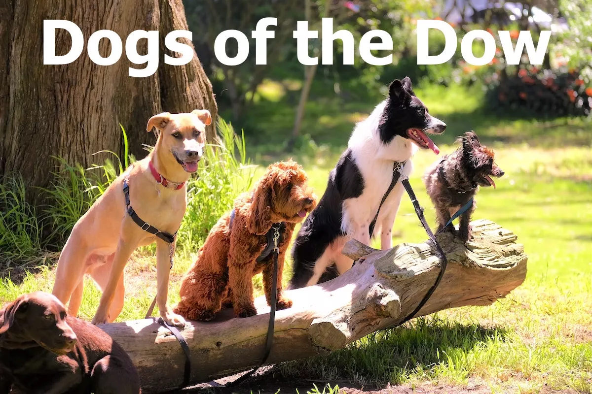 Image of five dogs with the text overlay: Dogs of the Dow