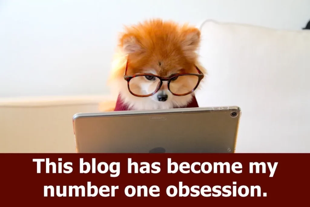 Image of a cute dog wearing glasses in front of a tablet with the text overlay: This blog has become my number one obsession.