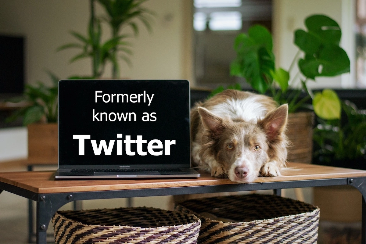 Image of a laptop screen with the words, "Formerly known as Twitter"
