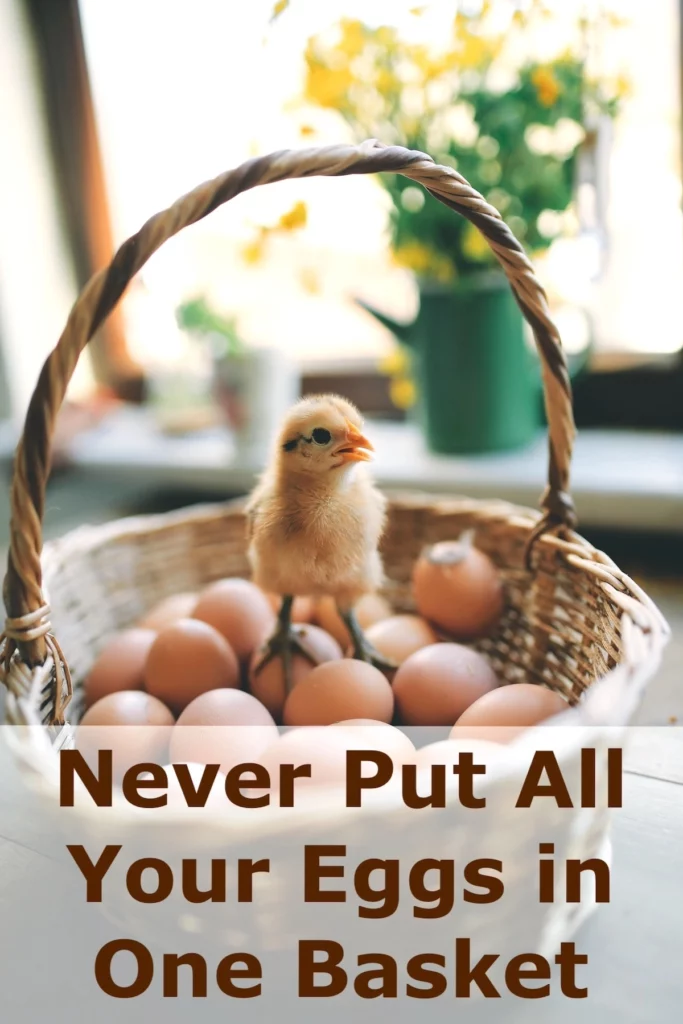 Image of a basket of eggs with the text overlay: Never put all your eggs in one basket.