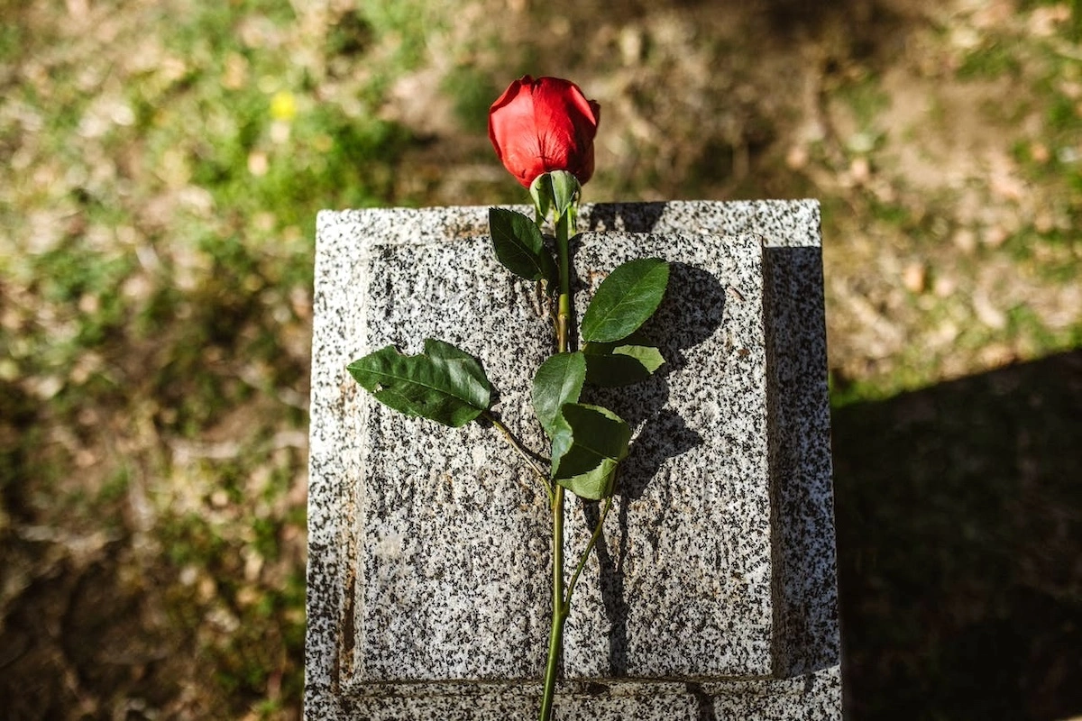 Image of a red rose on a tombstone.
